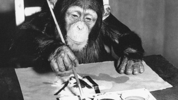 Chimpanzé Congo : une cinquantaine de ses peintures à voir en décembre à Londres Le chimpanzé Congo en train de peindre